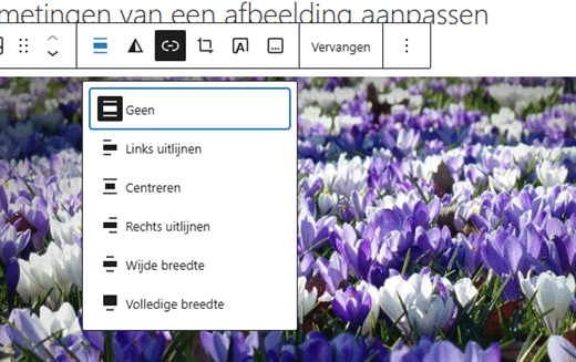 wp-afbeelding aanpassen
